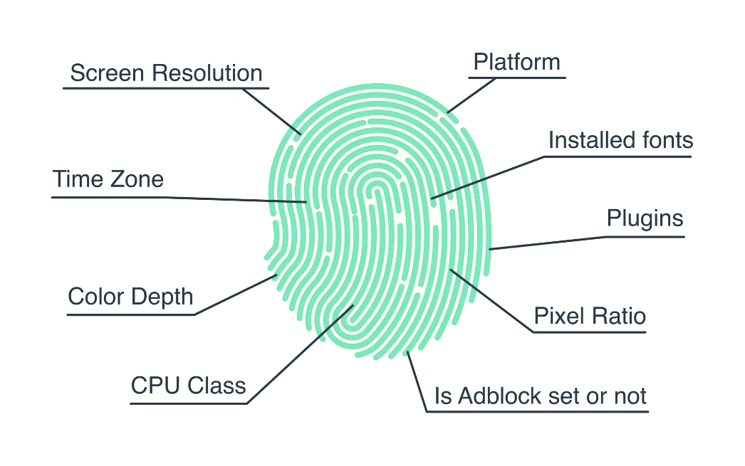 Fingerprint Diagram